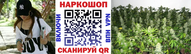 Марихуана Избербаш