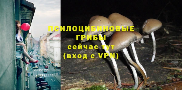 ECSTASY Волосово