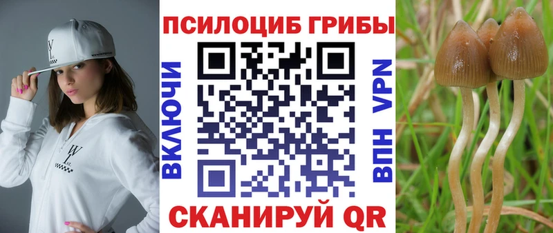 Галлюциногенные грибы мицелий  Избербаш 